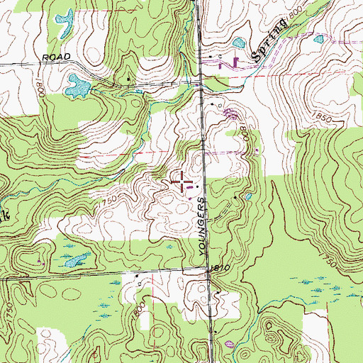 Topographic Map of Dziedzic Farms, NY