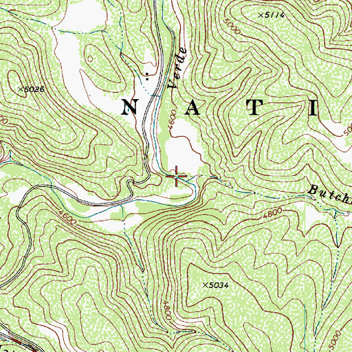 Topographic Map of Butcher Creek, AZ