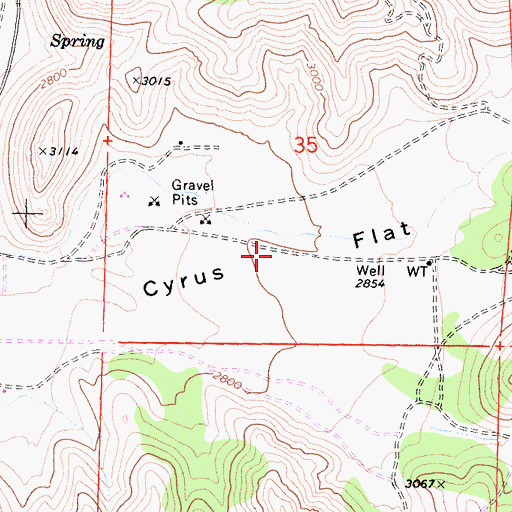 Topographic Map of Cyrus Flat, CA