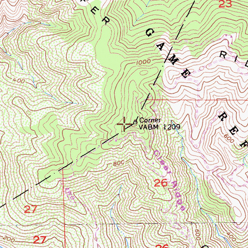 Topographic Map of Clear Ridge, CA