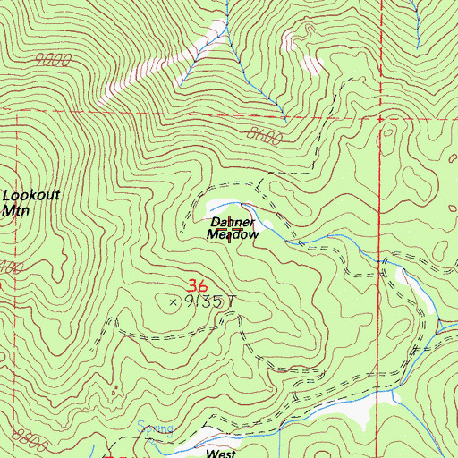 Topographic Map of Danner Meadow, CA