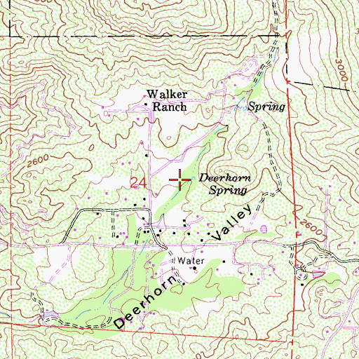 Topographic Map of Deerhorn Spring, CA