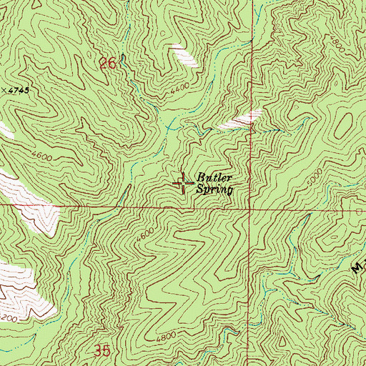 Topographic Map of Butler Spring, AZ