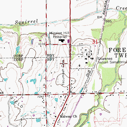 Topographic Map of Tecumseh Cemetery, OK