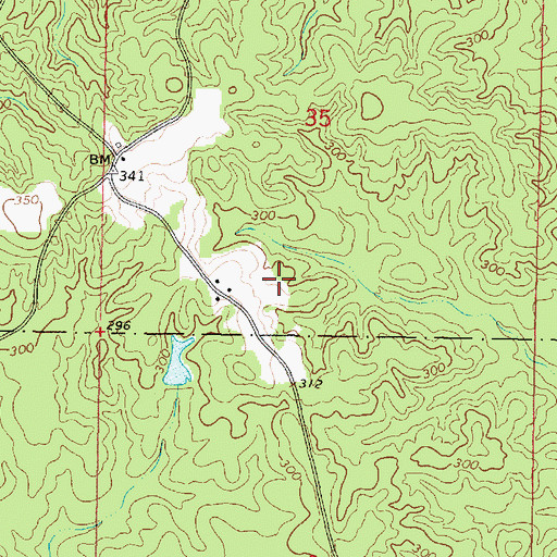 Topographic Map of Dickerson Poultry Farm, MS