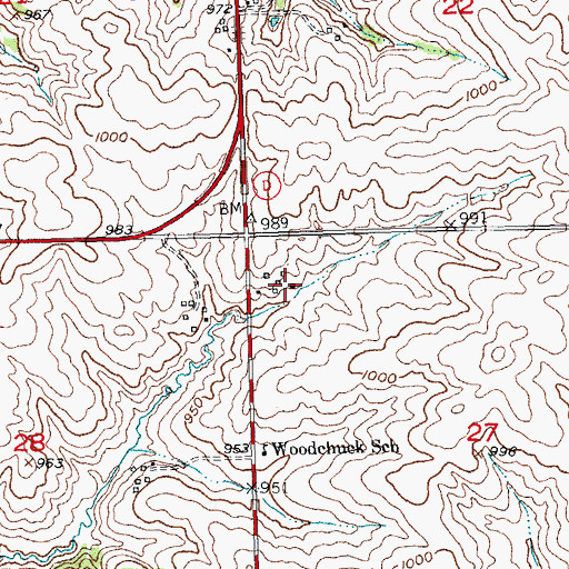 Topographic Map of Digman Farms, WI