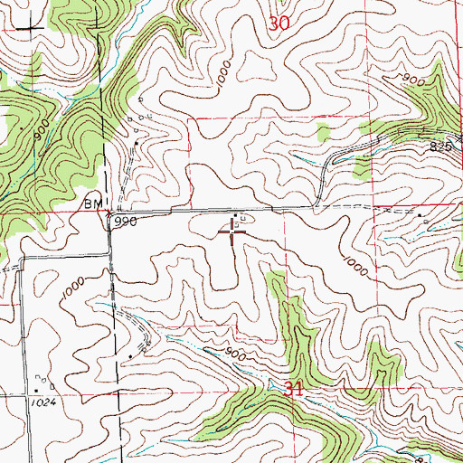 Topographic Map of Leeser Farms, WI