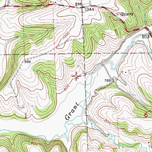 Topographic Map of Grant Hills Farm, WI