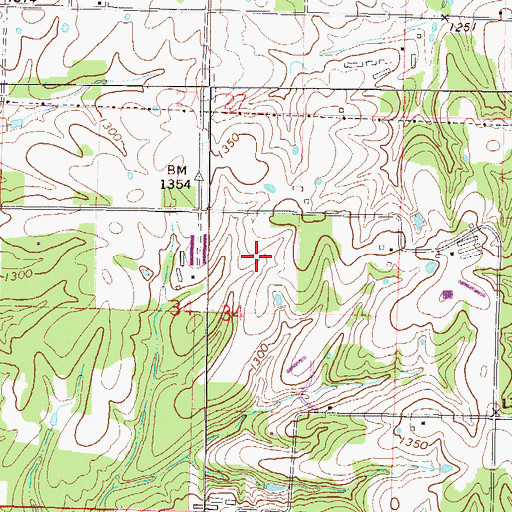 Topographic Map of Pruitt Farm, AR