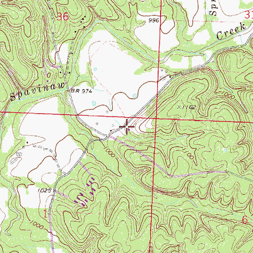 Topographic Map of Spring Creek Farm, AR