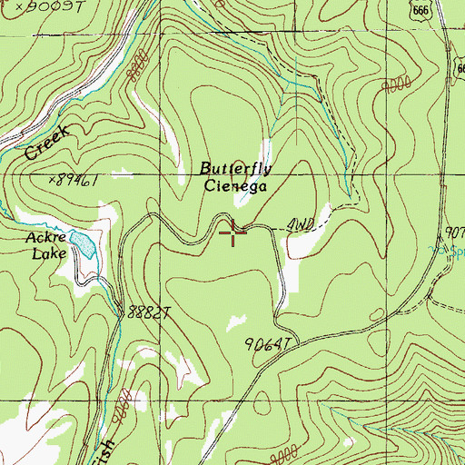 Topographic Map of Butterfly Cienega, AZ