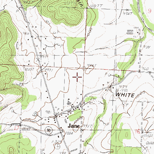 Topographic Map of White Rock Elementary School, MO