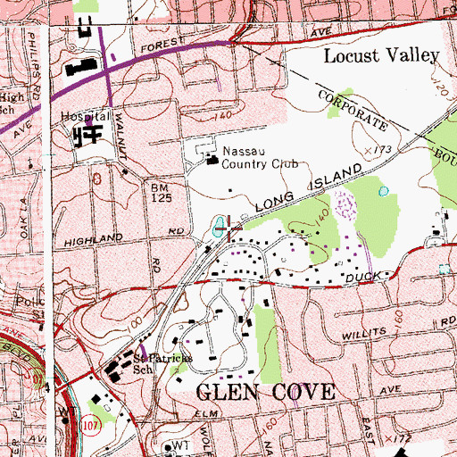 Topographic Map of Swan Lake, NY
