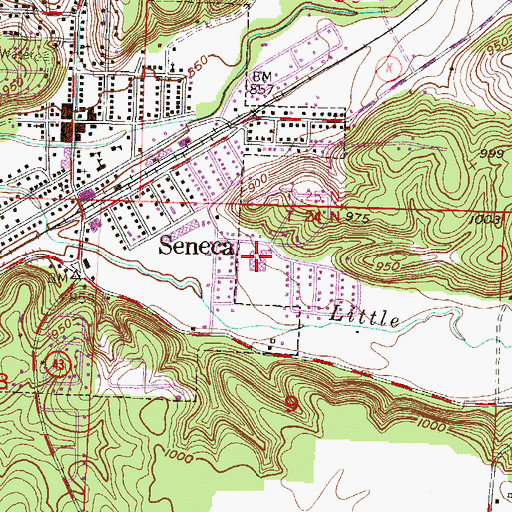 Topographic Map of Seneca Elementary School, MO