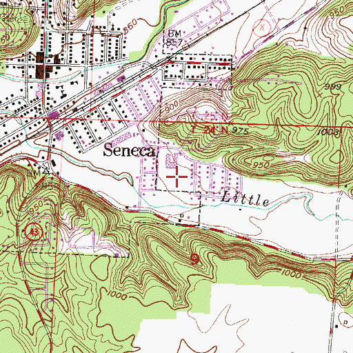 Topographic Map of Seneca Intermediate School, MO