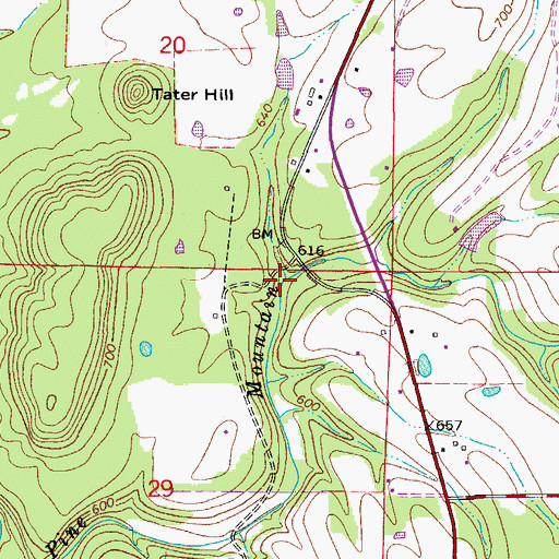 Topographic Map of Johnson Branch, AR