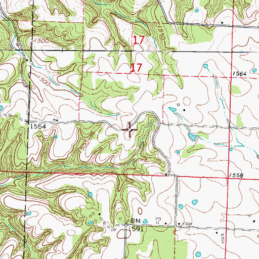 Topographic Map of Twin Spring School (historical), MO