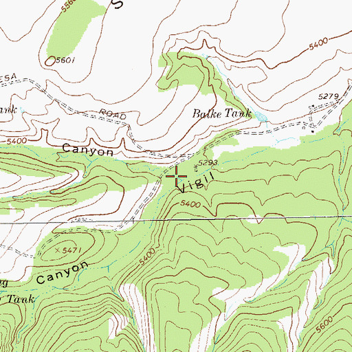 Topographic Map of Buzzard Canyon, NM