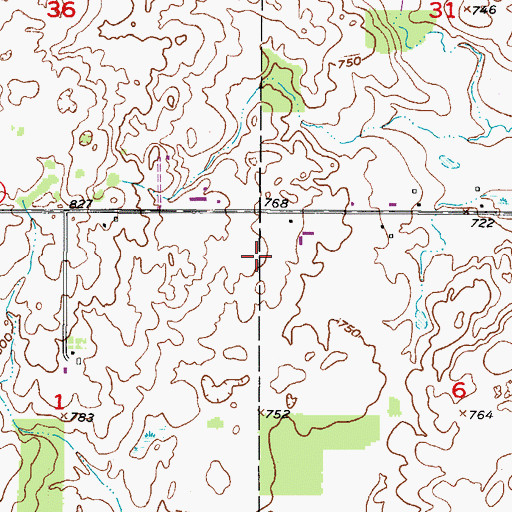 Topographic Map of Soaring Eagle Dairy, WI