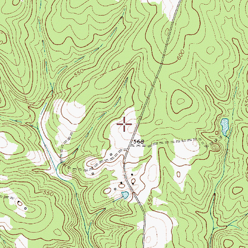 Topographic Map of D and D Farms, SC
