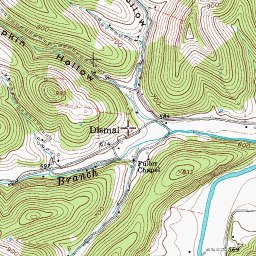 Topographic Map of Dismal Cemetery, TN