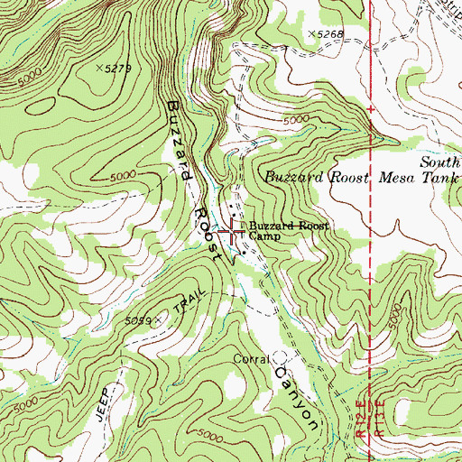 Topographic Map of Buzzard Roost Camp, AZ