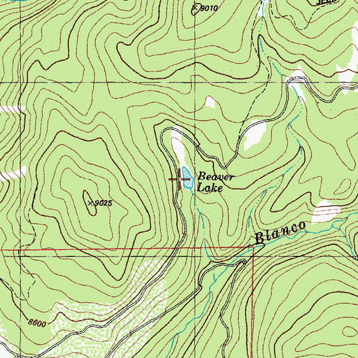 Topographic Map of Beaver Lake, CO