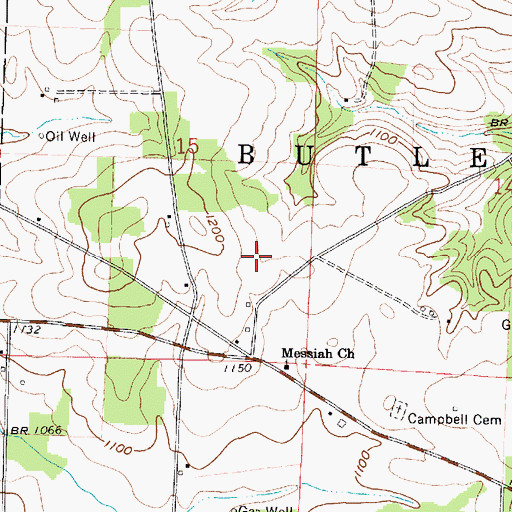 Topographic Map of Borror Farm, OH