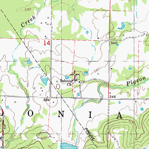 Topographic Map of Salonia Cemetery, OK
