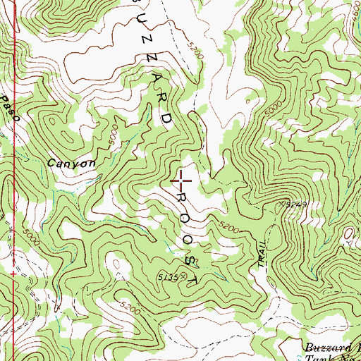 Topographic Map of Buzzard Roost Mesa, AZ