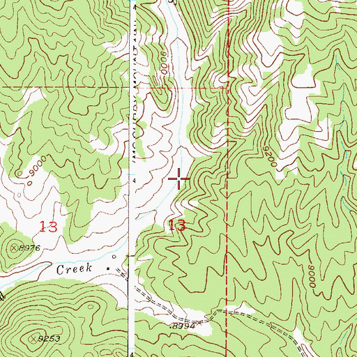 Topographic Map of Bison Ditch, CO