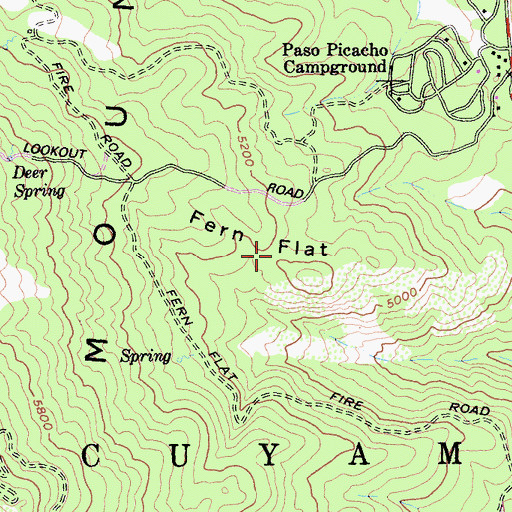 Topographic Map of Fern Flat, CA