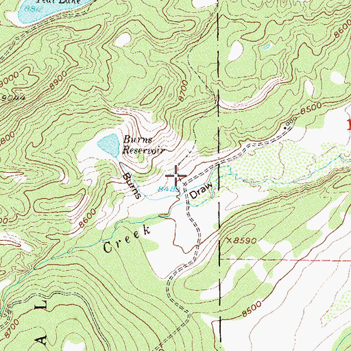 Topographic Map of Burns Ditch, CO
