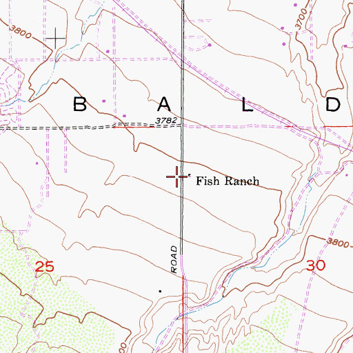 Topographic Map of Fish Ranch, CA