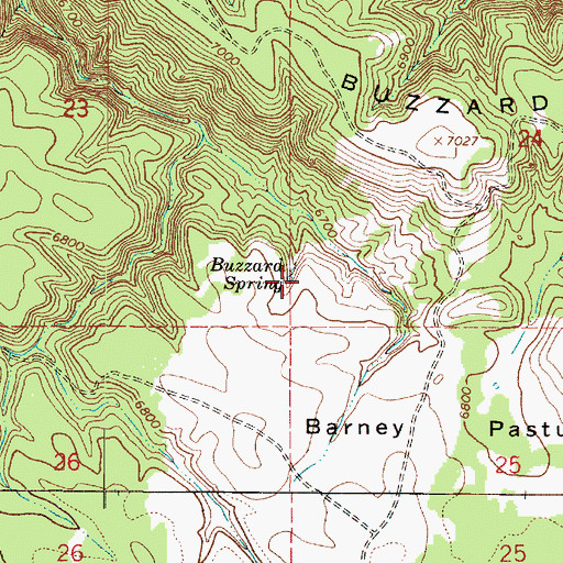 Topographic Map of Buzzard Spring, AZ