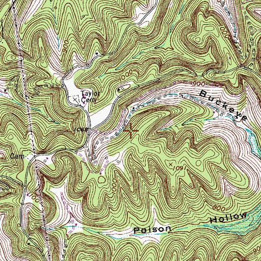 Topographic Map of Fish Cemetery, TN