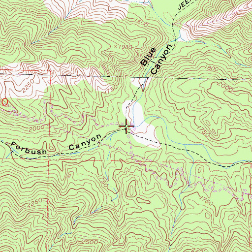 Topographic Map of Forbush Canyon, CA