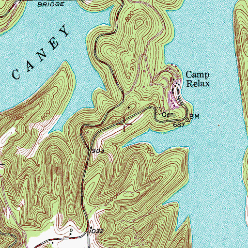 Topographic Map of Martin Cemetery, TN