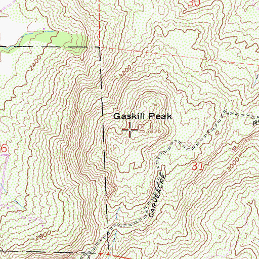 Topographic Map of Gaskill Peak, CA
