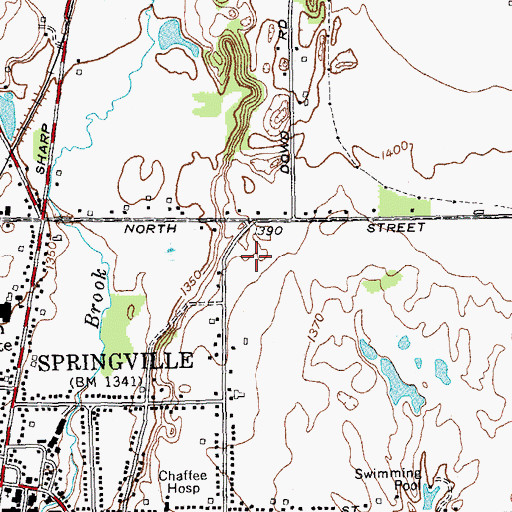 Topographic Map of Springville Elementary School, NY