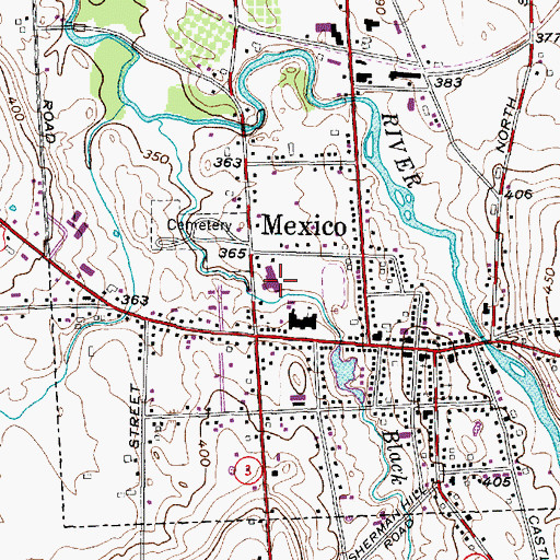 Topographic Map of Mexico Elementary School, NY