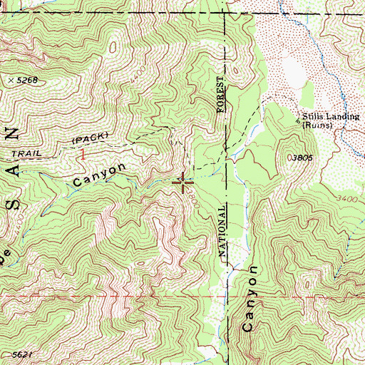 Topographic Map of Grape Canyon, CA