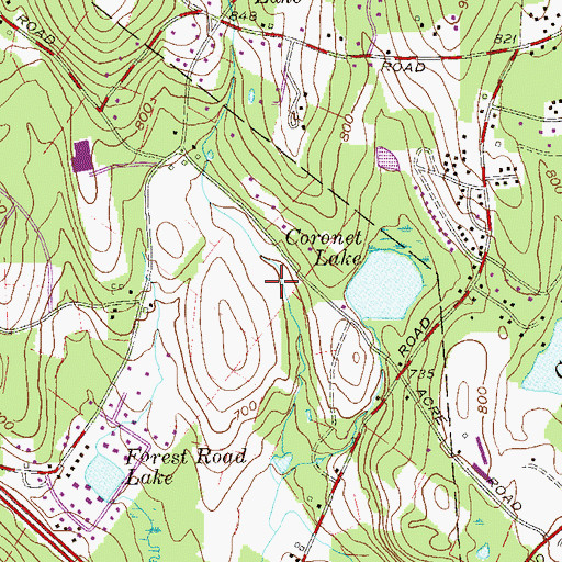 Topographic Map of Congregation Hayushor Vehatov, NY