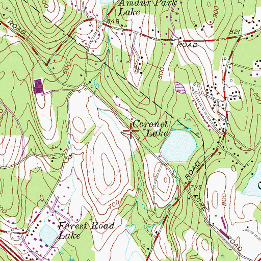 Topographic Map of Congregation Yetev Lev, NY