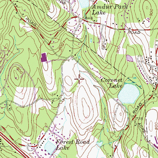 Topographic Map of Congregation Ohel Morbeche, NY