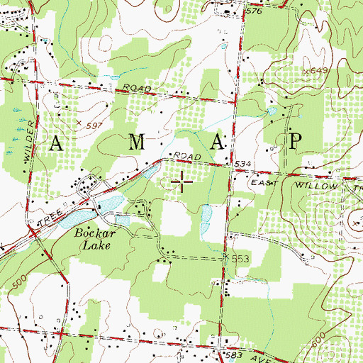 Topographic Map of Saint Boniface Roman Catholic Church, NY