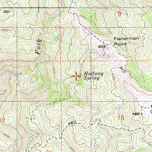 Topographic Map of Halfway Spring, CA