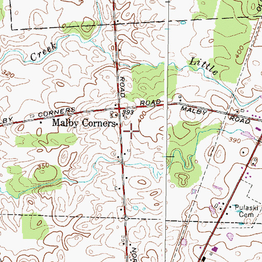 Topographic Map of Pulaski Assembly of God, NY
