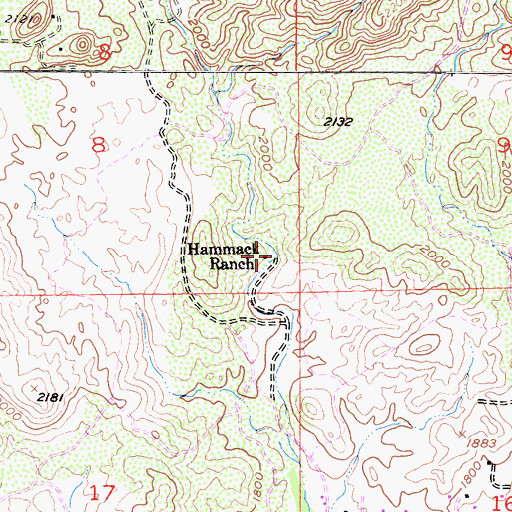 Topographic Map of Hammack Ranch, CA