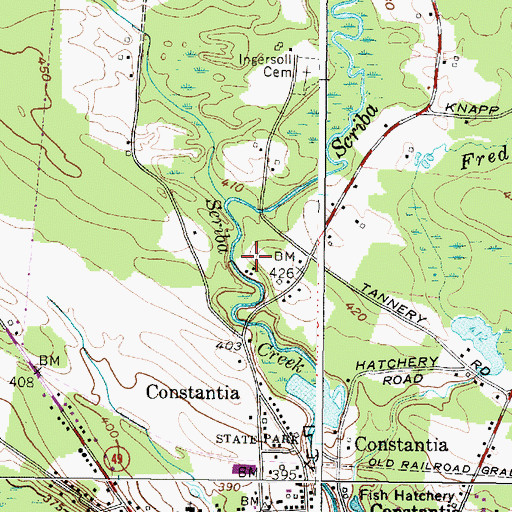 Topographic Map of Bisbo Mobile Home Park, NY